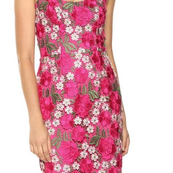 dress the population alexa lace sheath